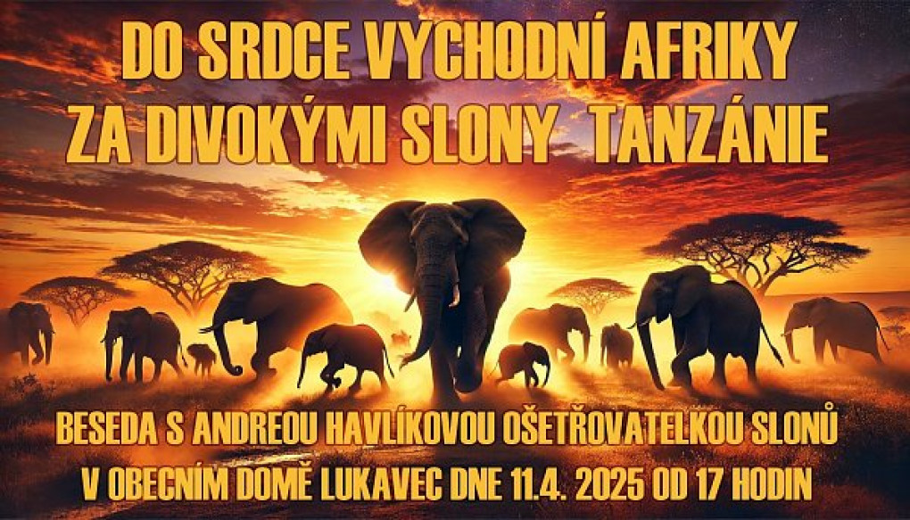za_slony_do_afriky.jpg